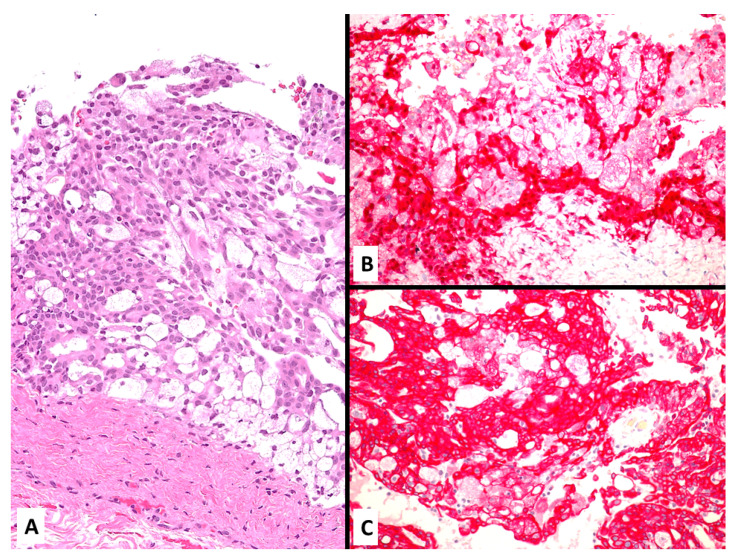 Figure 10