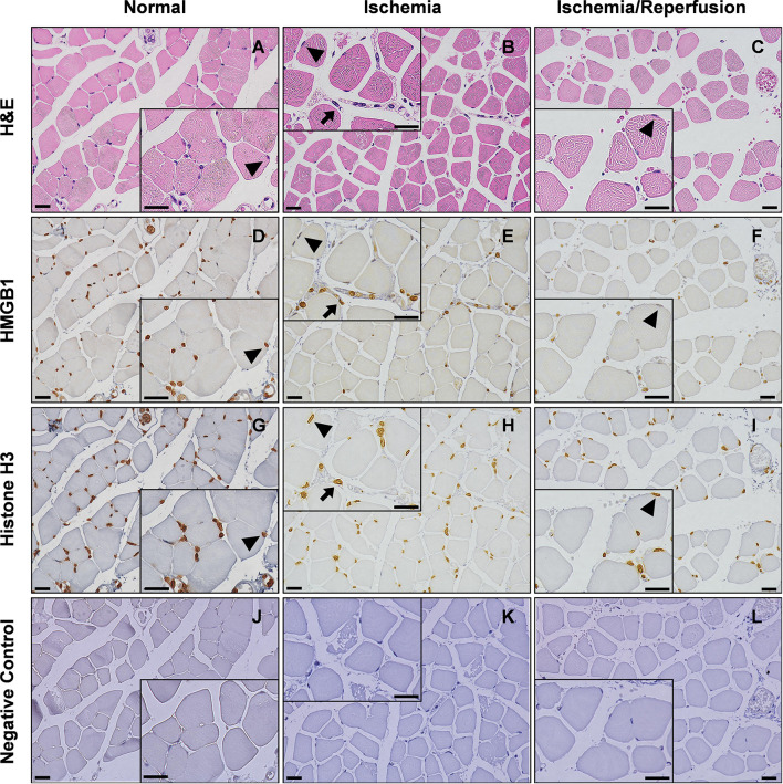 Figure 3