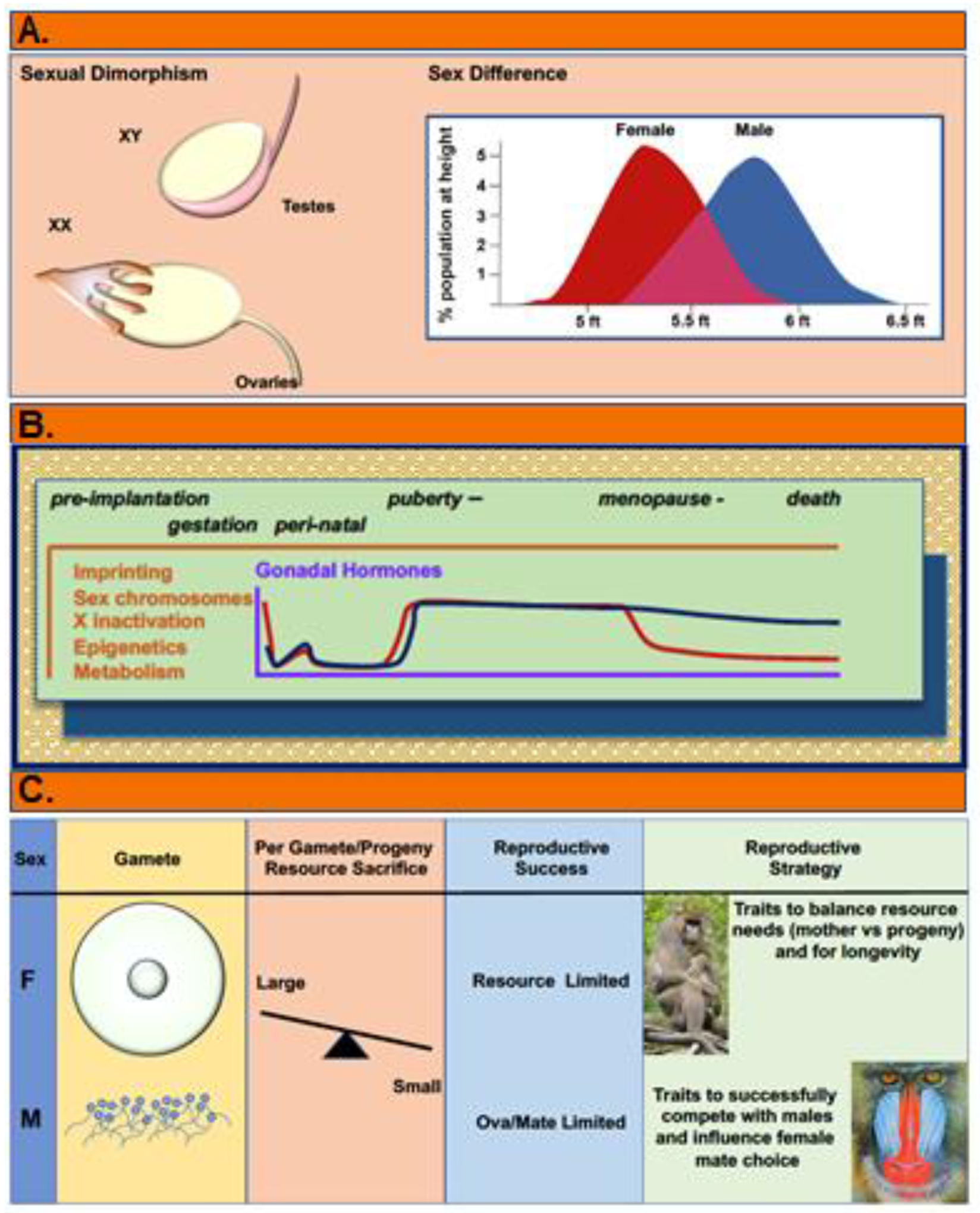 Figure 1: