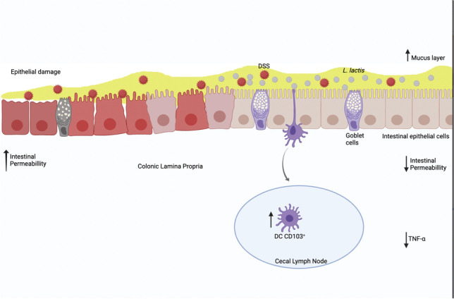 graphic file with name 42770_2023_928_Figa_HTML.jpg