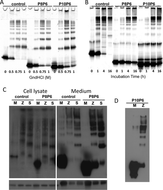 FIGURE 4.