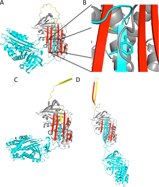 FIGURE 2.