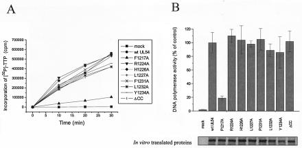 FIG. 9.