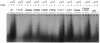 FIG. 8.