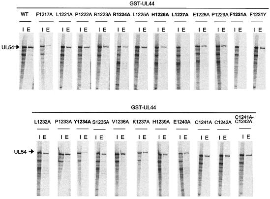 FIG. 6.