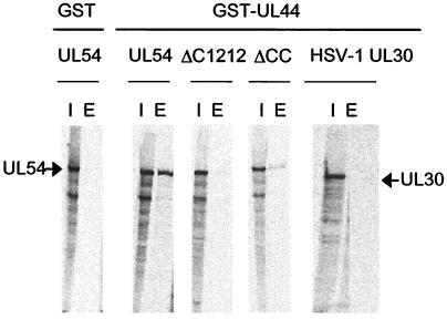 FIG. 4.