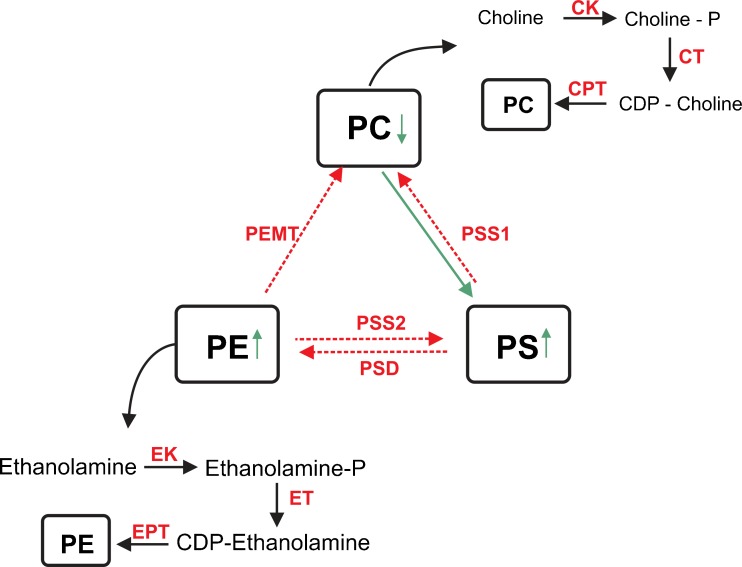 Fig. 4