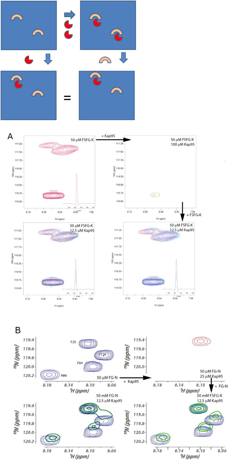 Figure 2—figure supplement 1.