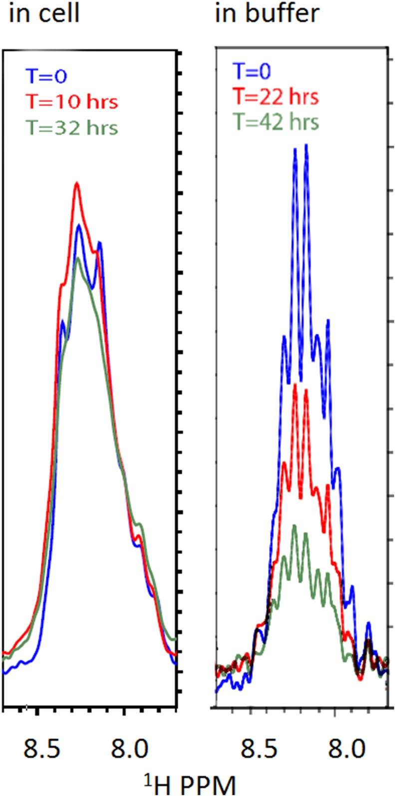 Figure 1—figure supplement 5.