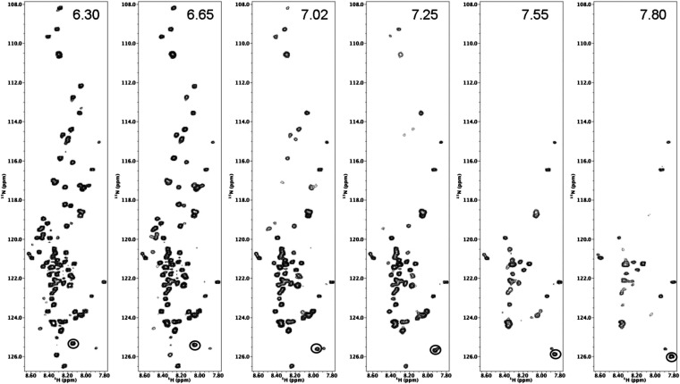 Figure 1—figure supplement 3.