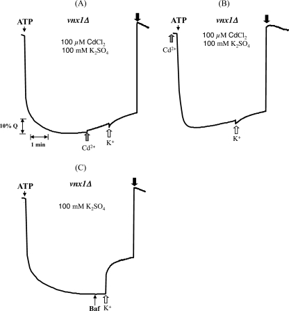 FIGURE 8.