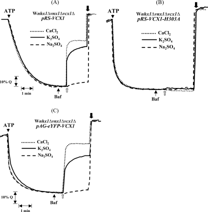 FIGURE 4.