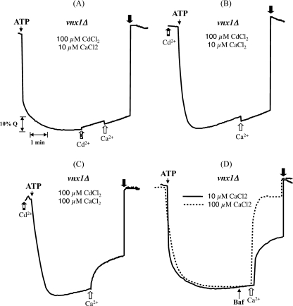 FIGURE 7.