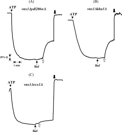 FIGURE 2.