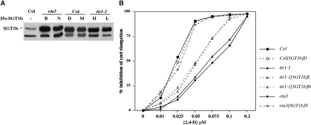 Figure 6.