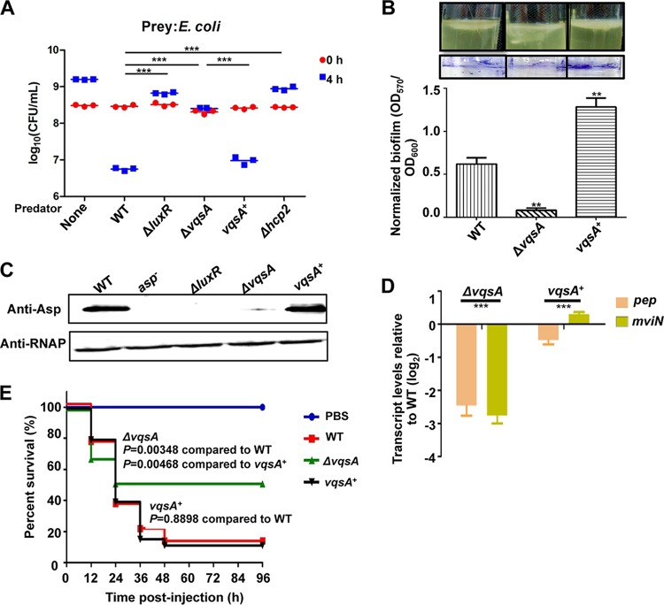 FIG 6