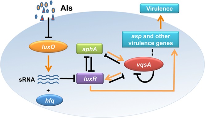 FIG 7