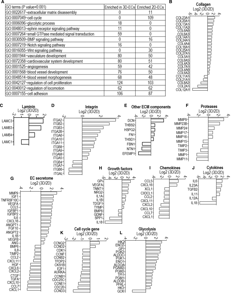 Figure 5