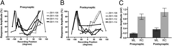 Figure 11.