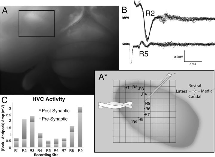 Figure 10.