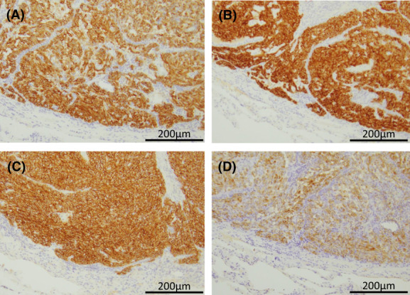 FIGURE 4