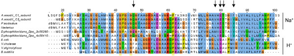 Figure 6