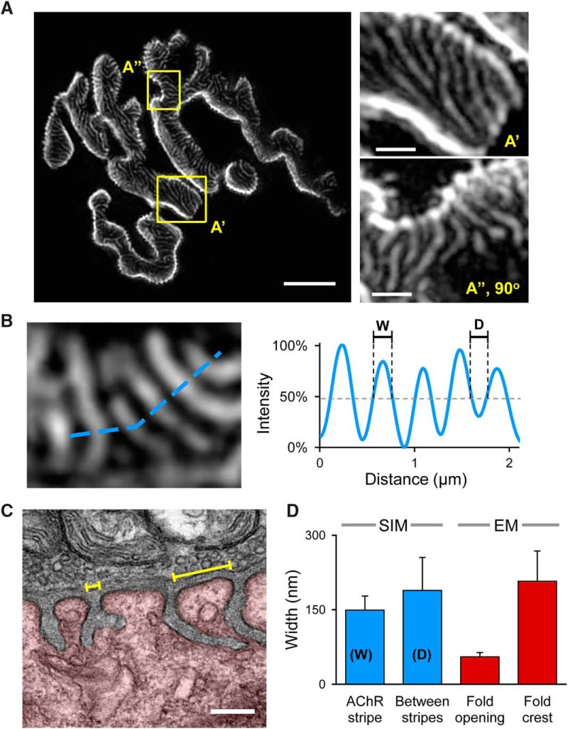 Figure 2.