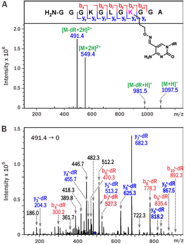 Figure 3.