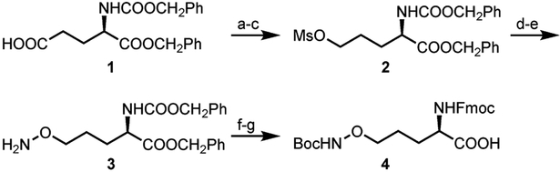 Scheme 2.