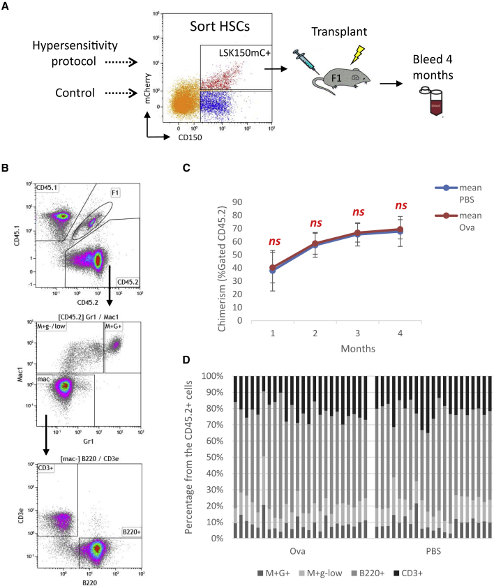 Figure 2