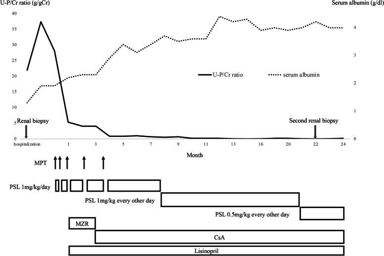 Fig. 3