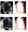 Fig. 5