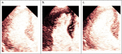 Fig. 10