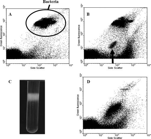 FIG. 1.