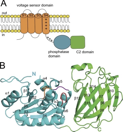 FIGURE 1.