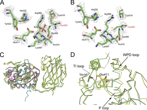 FIGURE 4.