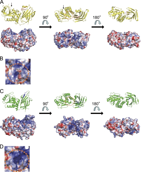 FIGURE 3.