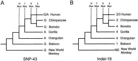 Figure  3