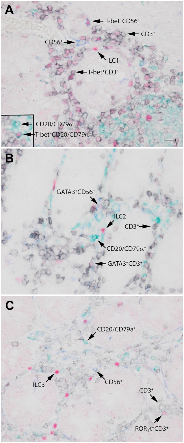 Figure 2.