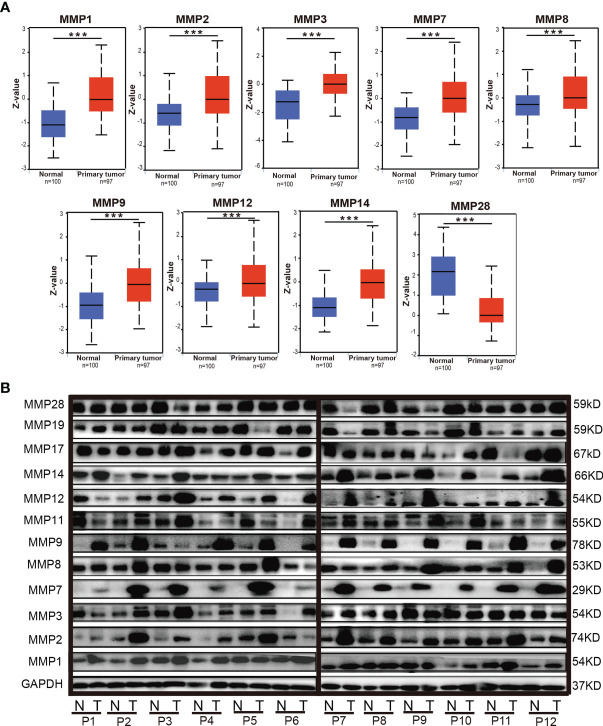 Figure 4