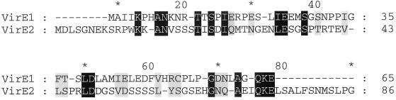 FIG. 8