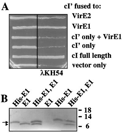 FIG. 5