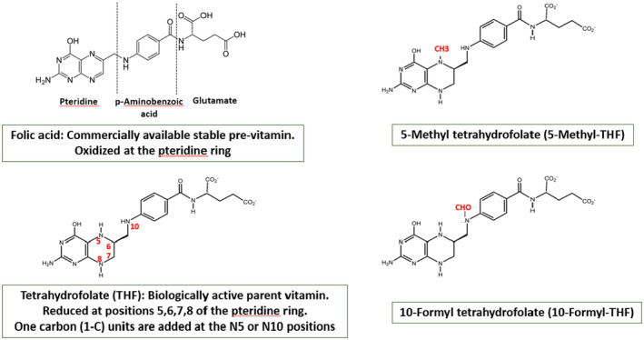 FIGURE 3