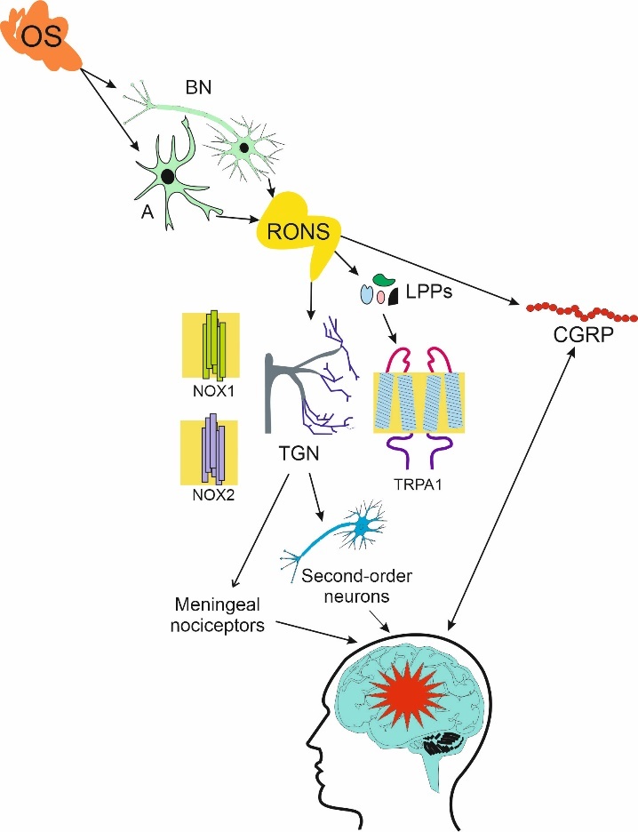 Figure 3.