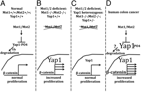 Fig. P1.