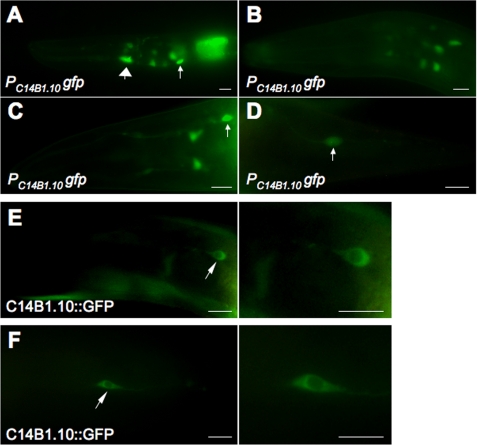 FIGURE 3.