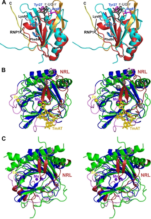 FIGURE 7.