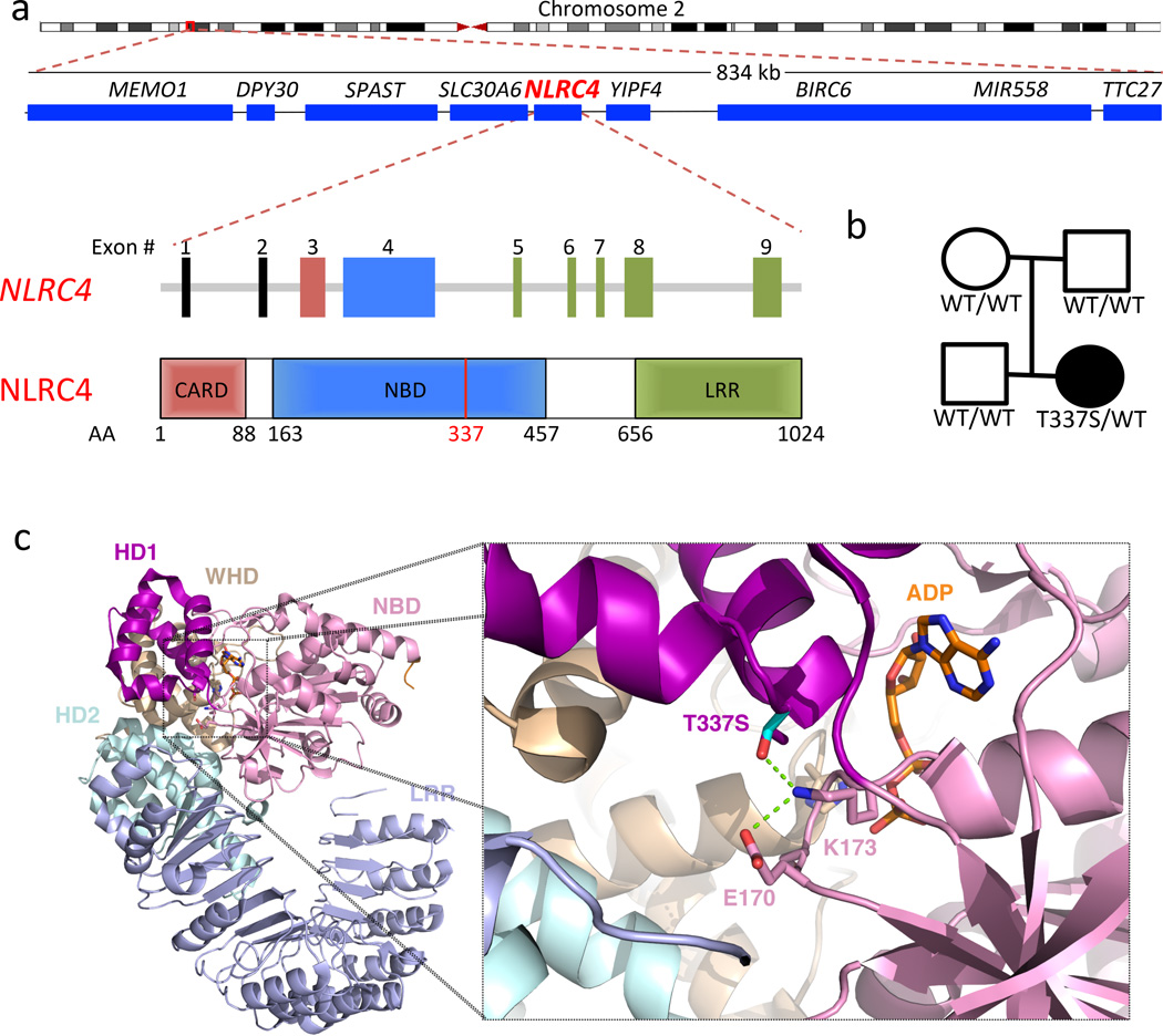 Figure 2