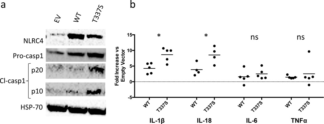 Figure 5