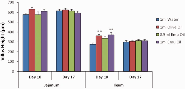 Figure 6.